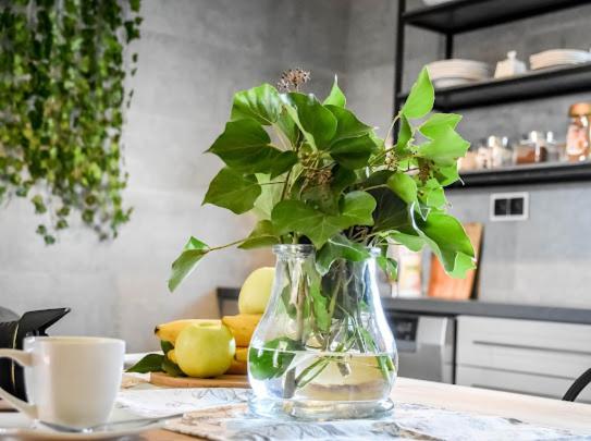 Atlas Chmur Apartament 比利但耶克 外观 照片